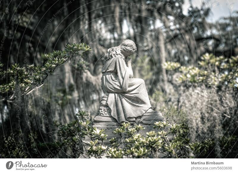 Statue of an angel under trees with spanish moss on a cemetry in South Carolina cemetery south carolina all saints day sculpture tomb grave tombstone green