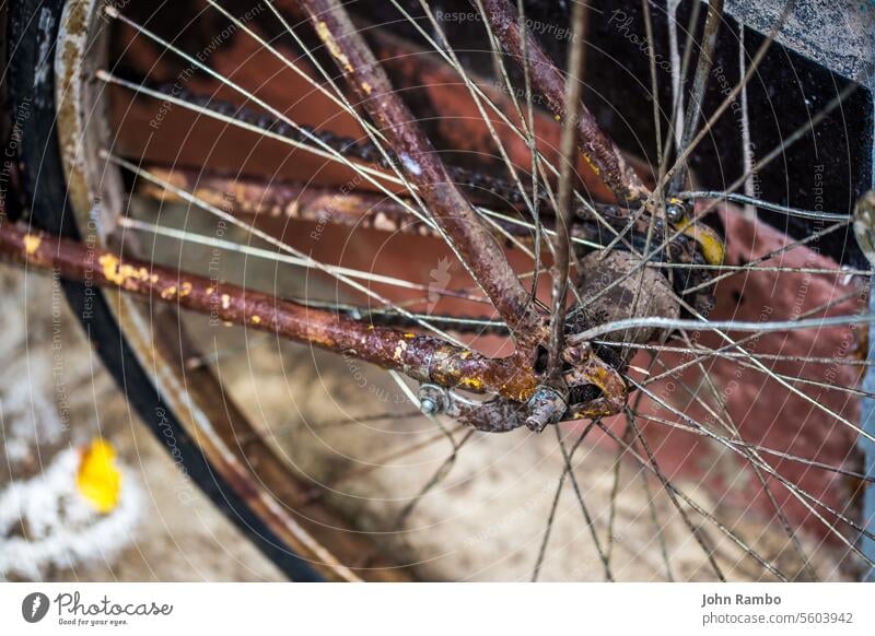 old wet rused brown bicycle after rain closeup with selective focus and blur bike rust metal background transportation rusty gear detail retro steel frame