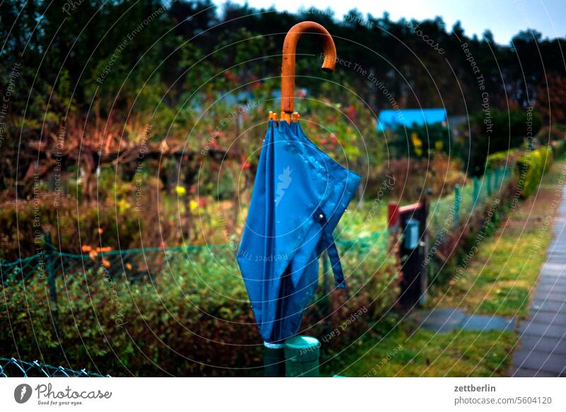 Umbrella again Evening Branch Tree blossom Blossom Dark Twilight Relaxation awakening holidays spring Spring spring awakening Garden Hedge Sky allotment