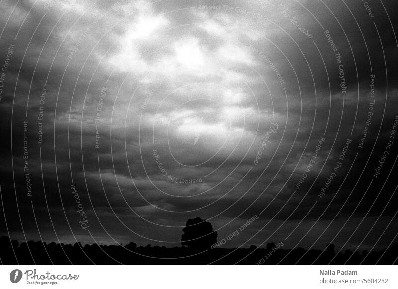 Tree in a gloomy landscape Analog Analogue photo B/W black-and-white Black & white photo Landscape Clouds Horizon somber on one's own Exterior shot Nature flora