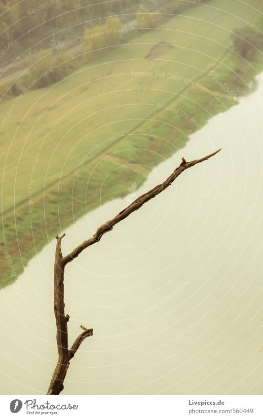 hang out Trip Mountain Hiking Environment Nature Landscape Water Autumn Plant Tree River bank Green Serene Colour photo Subdued colour Exterior shot Detail Day