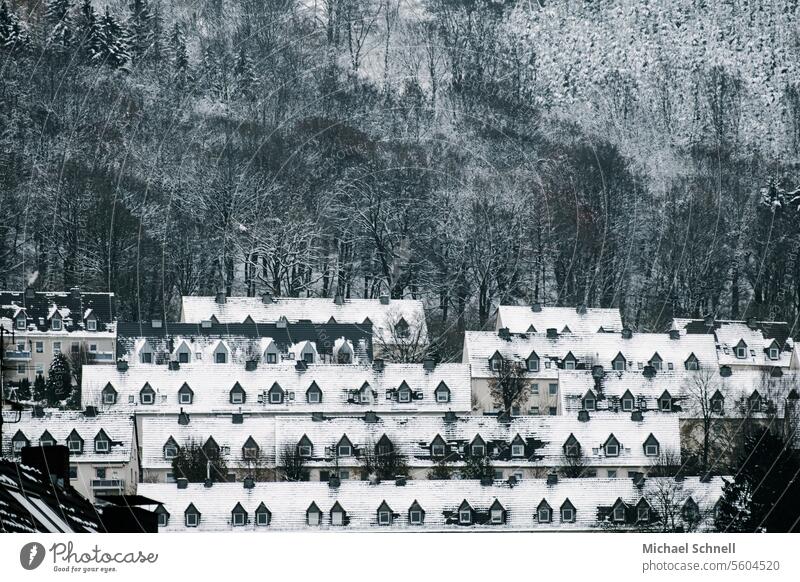 Terraced houses in winter Winter Winter mood chill Snow Cold Winter's day White Nature Snowscape winter landscape Town City and country trees Snow layer