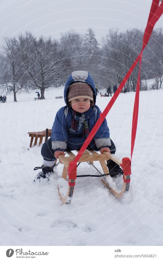 Cold or not, being pulled is great! | Sledge with toddler being pulled home through the snow in the park. Winter Toddler Child Snow Sleigh sleigh Pull sledges