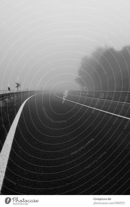 ...from the Jolly Bridge Environment Nature Landscape Sky Clouds Autumn Fog Plant Tree Traffic infrastructure Street Lanes & trails Dark Black White