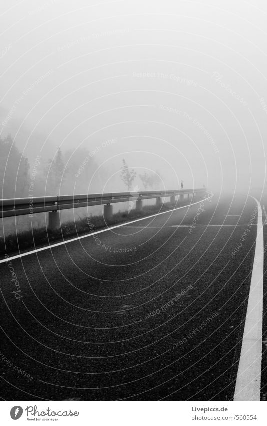 ...into the fog Environment Nature Landscape Sky Clouds Autumn Fog Plant Tree Leaf Transport Traffic infrastructure Street Stone Dark Cold Black White