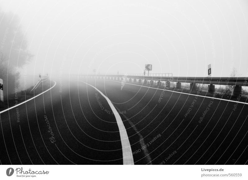 to the Jollybrücke Environment Nature Landscape Sky Clouds Autumn Fog Plant Tree Transport Traffic infrastructure Street Lanes & trails Stone Black White