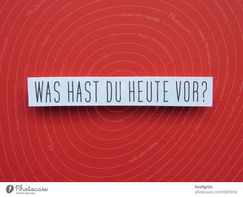 What are you up to today? question Interest Curiosity Communicate communication Characters Signs and labeling Letters (alphabet) Expectation Deserted