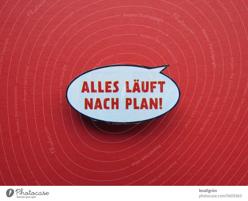 Everything is going according to plan! Planning Expectation Contentment Moody exactness Procedure Emotions planning Deserted Colour photo Communicate