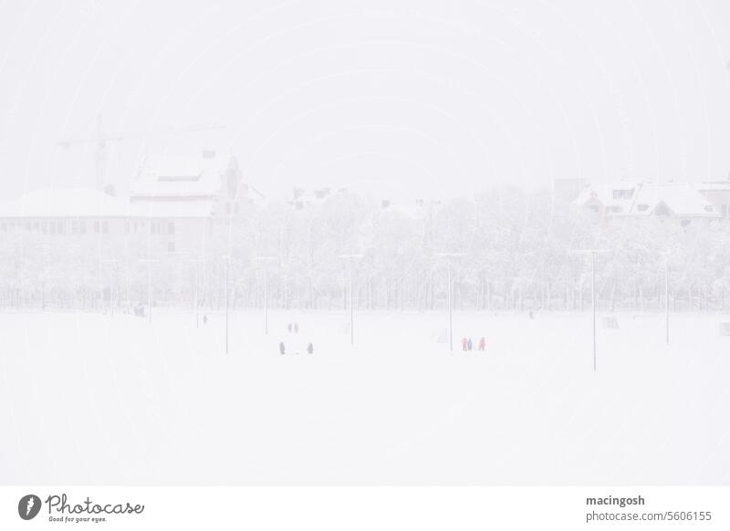 Munich drowns in snow (Theresienwiese) Bavaria urban Town City metropolis Exterior shot Germany Sky Architecture Skyline Building Colour photo Tourism travel