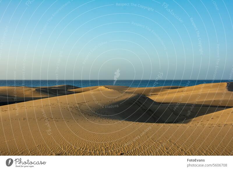 Sand dunes with a view to the sea horizon Maspalomas dry sand endless nature Gran Canaria background morning beach Spain vacation spot morning light sand dune