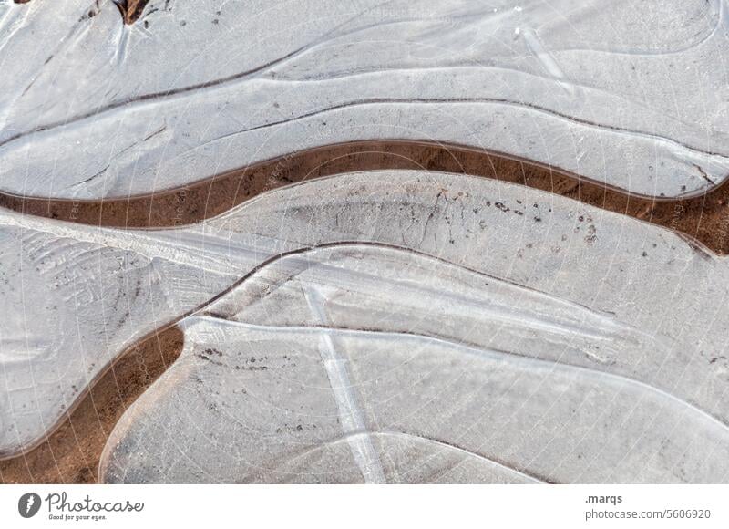 Ice without air bubbles chill Environment Close-up Freeze Frost Winter Cold Frozen Pattern Structures and shapes Puddle Ice structure Under Transience