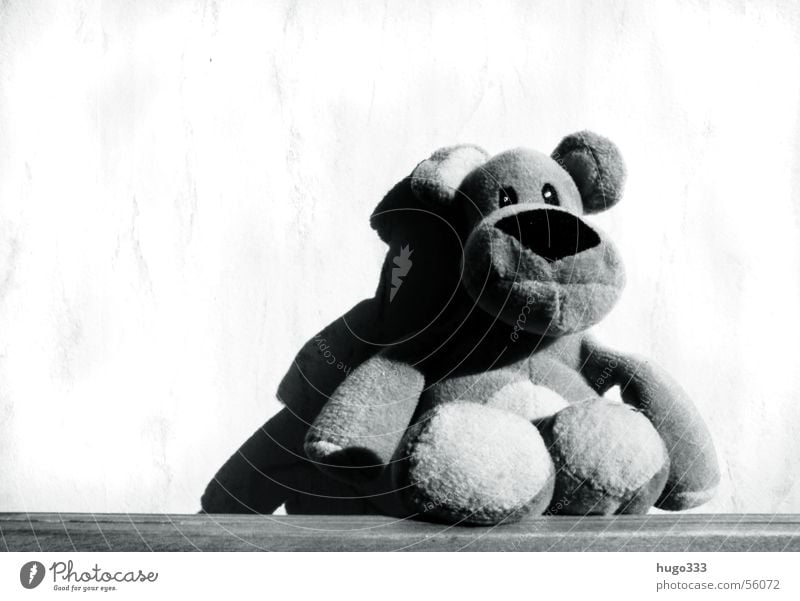 sitting dog Cuddly toy Playing Toys Mammal Animal Dog Landscape format play Black & white photo