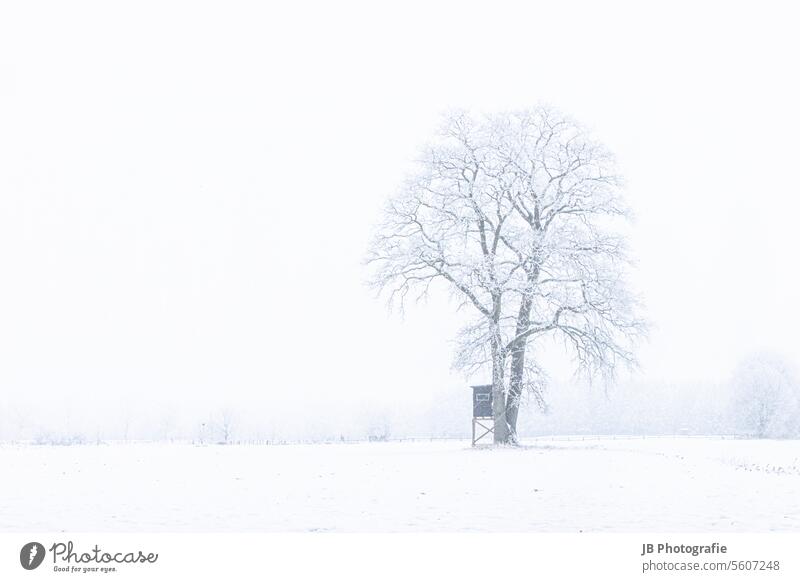 Winter landscape in northern Germany Winter mood Wintertime winter Winter's day winter landscape Snow Snowscape Cold White chill snow-covered Snow layer snowy