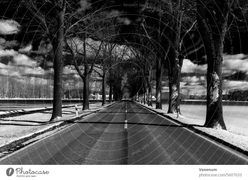 ountry road number L73 in winter in Germany,between the village of Jaenickendorf and the small village of Holbeck,Danger of smoothness due to snow for motor vehicles,black and white