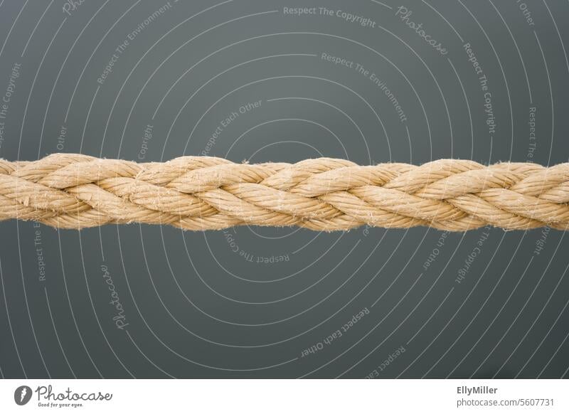 Braided rope. Rope Dew Plaited Harbour Close-up mooring rope Exterior shot Deserted leash Detail Maritime Gray Beige detail detailed