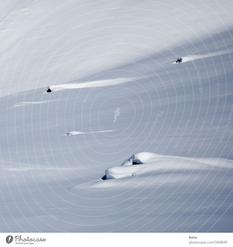 in the snow. Environment Nature Landscape Earth Snow Mountain Line Stripe Cold Blue Black White Loneliness Pure Snowcapped peak Colour photo Subdued colour