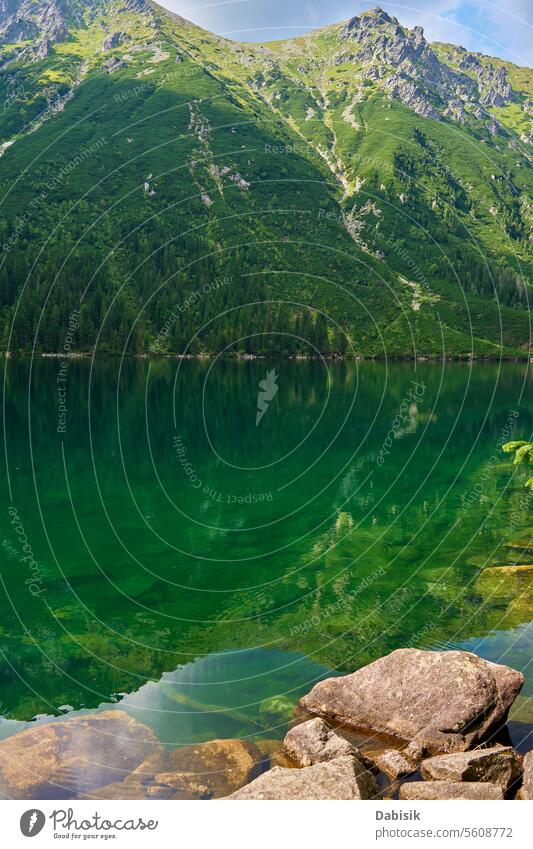 Mountains range near lake at summer day mountains nature travel landscape hiking peak morskie oko green national park water sky forest blue environment