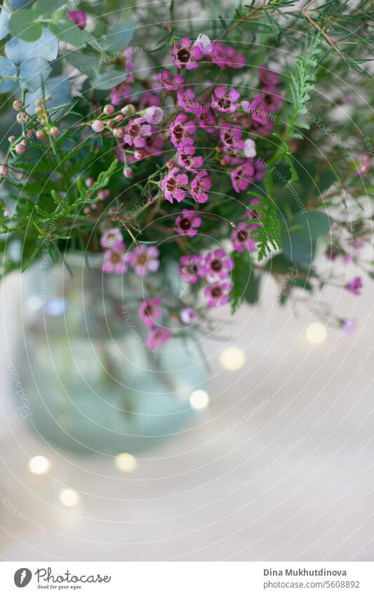 beautiful pink wax flower bouquet  on white beige neutral background copy space bottom. Floral arrangement vertical backdrop. flowers Flower Decoration Nature