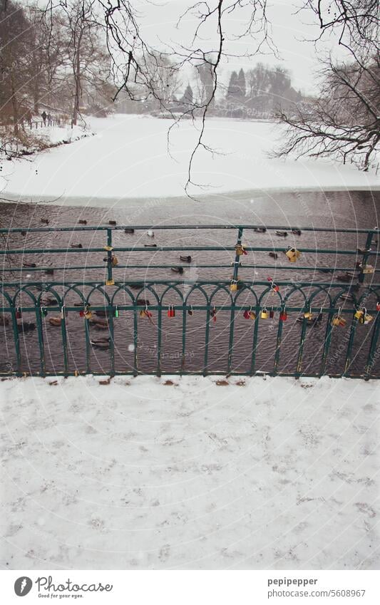 Love locks on a bridge in a wintry atmosphere with a frozen lake Winter winter landscape Winter landscapes Snow Cold Winter mood Winter's day Snowscape White