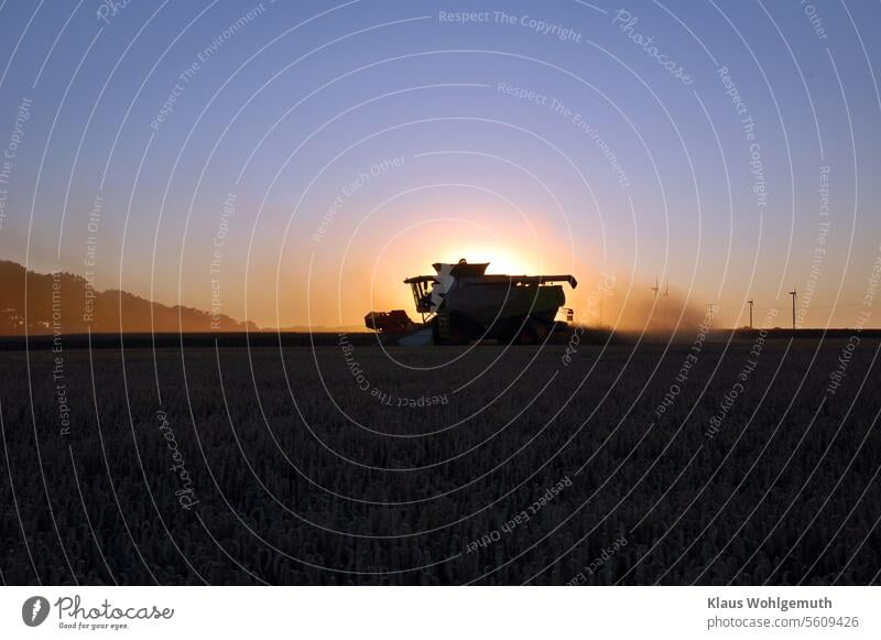 Summer evening, harvest time. A combine harvester stirs up a lot of dust, which shines in the light of the setting sun. Wind turbines on the horizon. Harvest