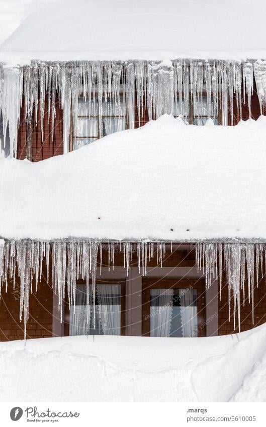 Freshly tapped ice cream Icicle Winter Ice Cold Frozen Snow Freeze Frost Window Winter mood