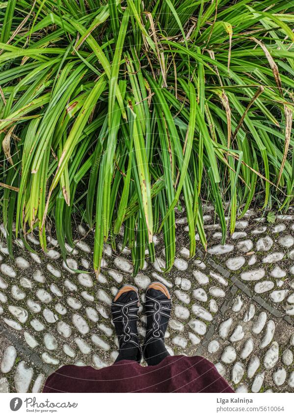 Point of view shot of standing next to grass Grass Blade of grass blade of grass Grass green Blue Lawn Drops of water Summer Sky Nature Meadow Green Legs Pebble