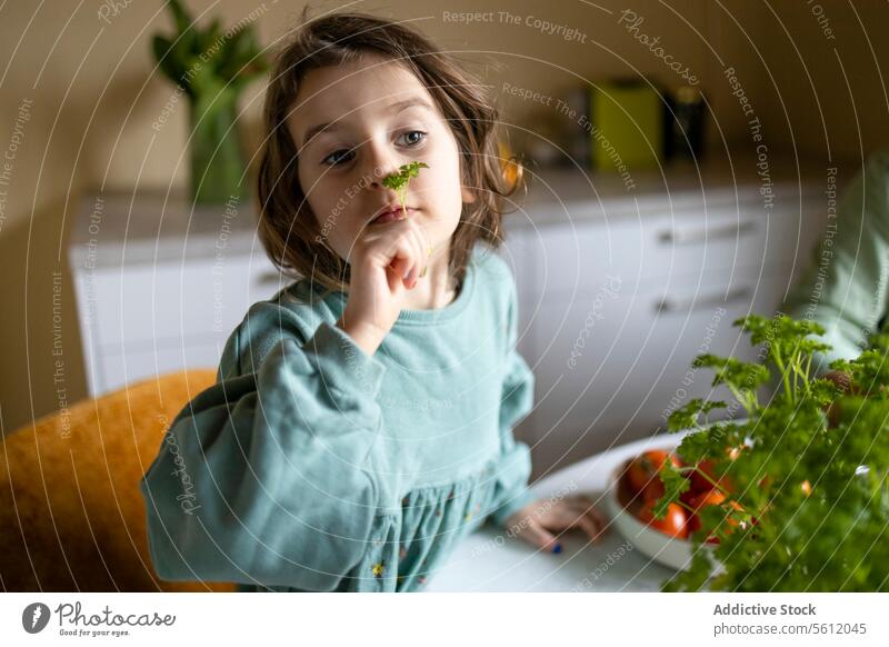 Elementary kid smelling herb at home girl coriander looking away cute portrait preparing salad organic innocent elementary caucasian lifestyle leisure food