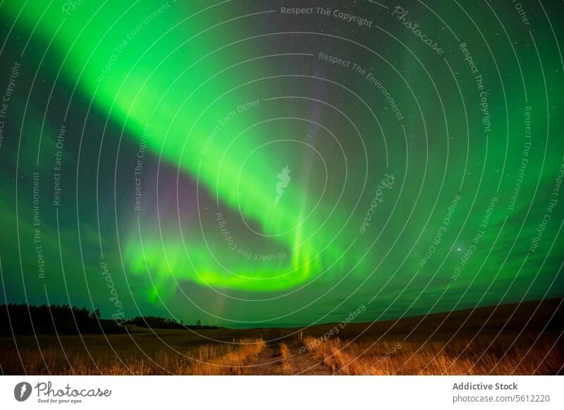 Aurora Borealis lighting up the night sky in Iceland aurora borealis northern lights iceland green illumination natural phenomenon landscape rural countryside