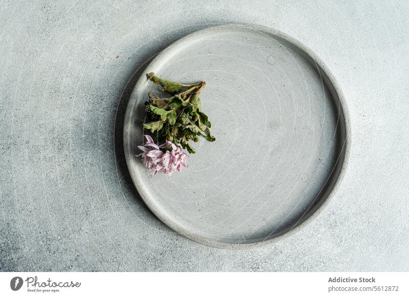 Minimalist cuisine on a textured backdrop plate food minimalist ceramic gray surface presentation simple elegant modern dish gastronomy culinary restaurant