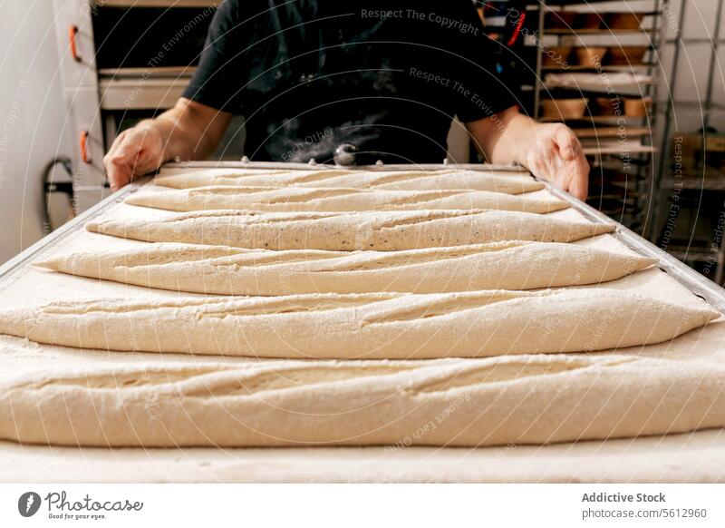 Man carrying tray with bread in bakery dough raw loaf kitchen bakehouse crop unrecognizable black t-shirt prepare making hand food body part fresh chef uncooked