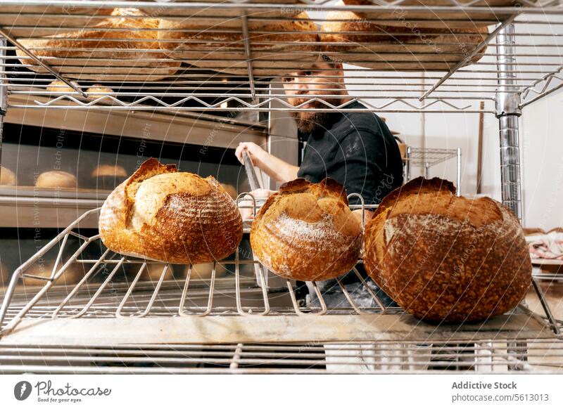 Baker using metallic peel to take out bread from oven baker loaf fresh scapula kitchen beard cooked delicious crispy crust large equipment kitchenware bakery