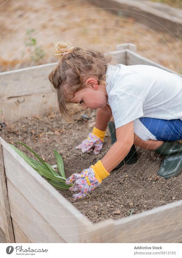 High angle of little boy in casuals and gloves taking leaves while gardening in backyard holding soil learning ground leaf boot child plantation nature playful