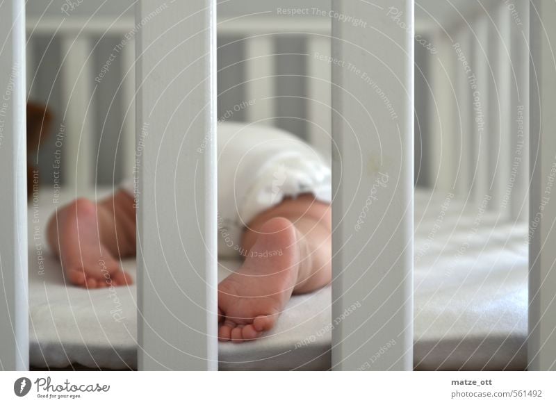 Baby behind bars Children's room Human being Toddler Family & Relations Infancy Life Feet 1 0 - 12 months Line Sleep Small Cute White Happy Love Responsibility