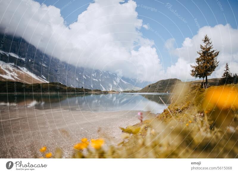 Trübsee, Engelberg, Switzerland murky central switzerland mountain lake Alps Beautiful weather reflection Water Tourism Destination Hiking trip Landscape flora