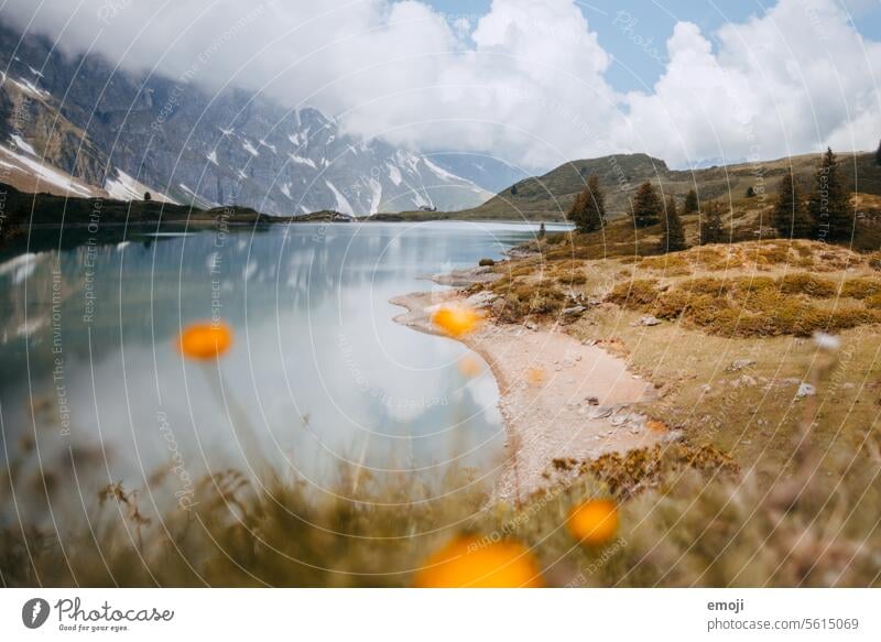 Trübsee, Engelberg, Switzerland murky central switzerland mountain lake Alps Beautiful weather reflection Water Tourism Destination Hiking trip Landscape flora