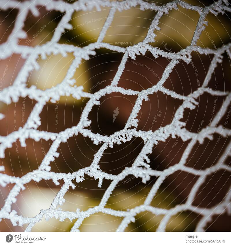 Icy fence Fence Ice Winter Frost Snow Wire netting fence Wire fence iced Crystal ice crystals Frozen Cold White Freeze Crystal structure chill Hoar frost