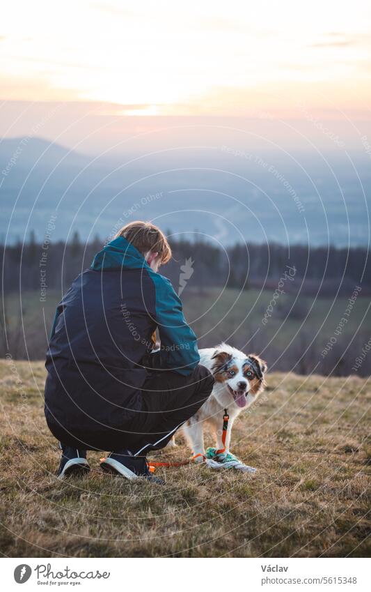 Young cynologist, a dog trainer trains a four-legged pet Australian Shepherd in basic commands using treats. Love between dog and human australian shepherd