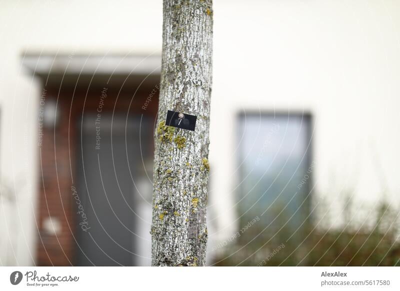 a small, black sign with a white 7 is attached to a thin tree trunk with a nail, behind it a blurred house entrance Black White out fixed slack Tree Tree trunk