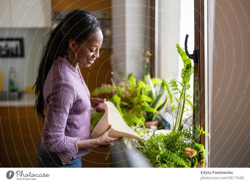 Beautiful woman watering plants at home people joy black natural attractive black woman happiness happy real people mature adult daily life adults one person