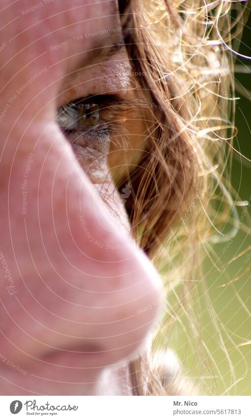 woman Close-up Eye colour Detail of face naturally Eyelash Curiosity Emotions Freckles Eyebrow Authentic Observe Curl Face Eyes Hair and hairstyles Feminine