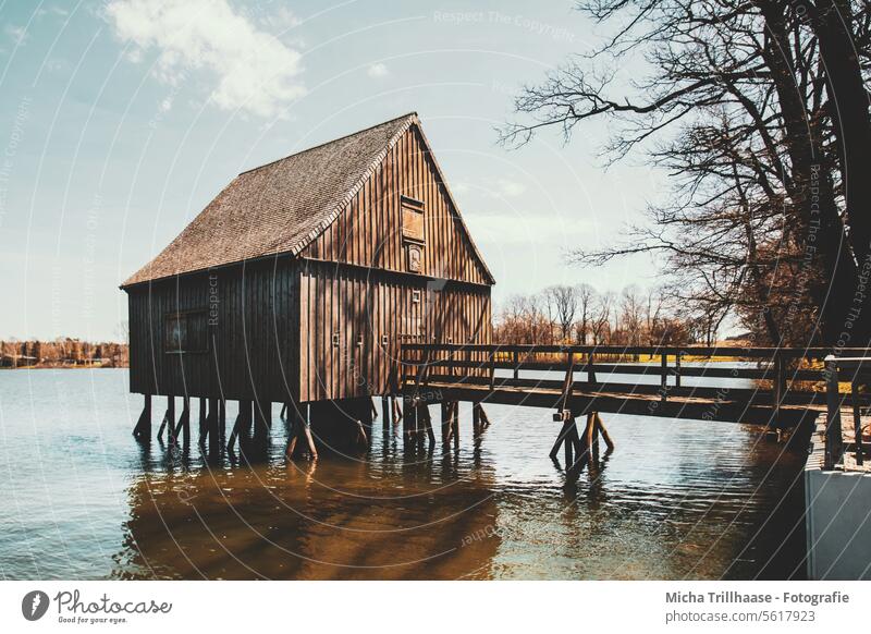 Pile house at the Plothen ponds / Thuringia Plothener Ponds Pile-dwelling slate mountains Lake Water Footbridge Bridge Wooden house bank trees branches twigs