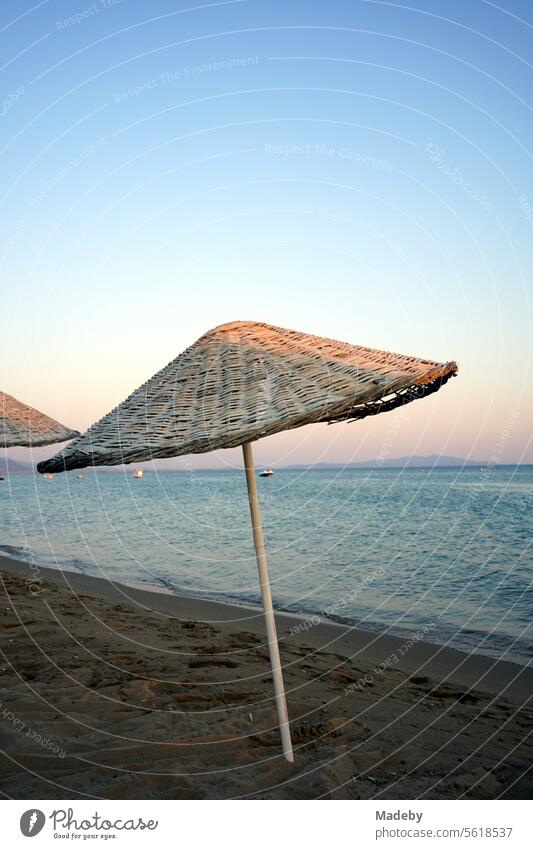 Large round wicker parasols against blue sky in the light of the evening sun in summer on the beach of Sarimsakli near Ayvalik in the province of Balikesir in Turkey