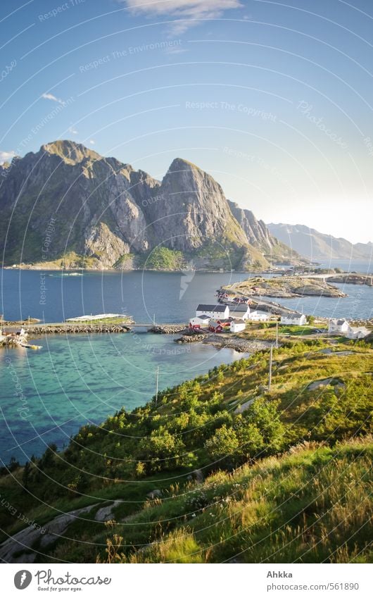 Fjord, Lofoten II Exotic Wellness Well-being Senses Relaxation Calm Vacation & Travel Tourism Trip Adventure Far-off places Freedom Ocean Nature Landscape