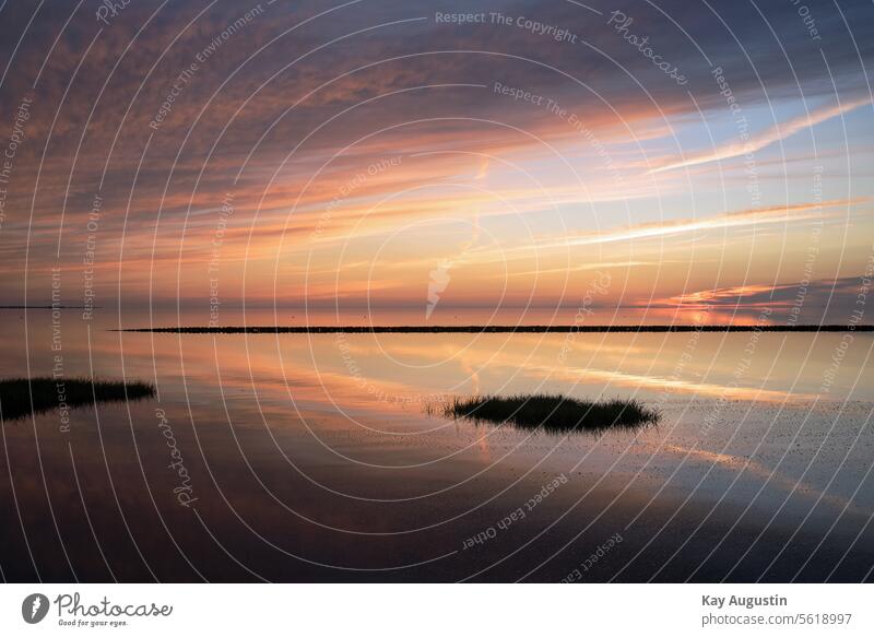 The Wadden Sea awakens North Sea Mud flats National Park Sunrise Sylt awakes Morning coast coastal protection East coast grasses groynes High tide Horizon