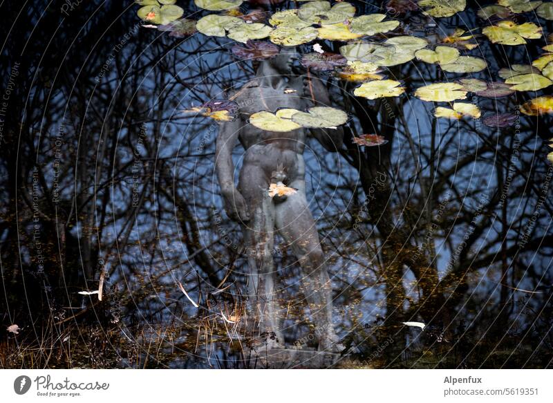 graded reflection King David Water Reflection in the water Calm Surface of water Exterior shot Statue Pond Water reflection Lakeside Peaceful Nature