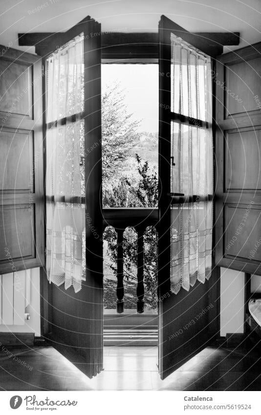 View through an open window Building Manmade structures House (Residential Structure) Window percussion shutters curtains Balcony balcony rail Wood