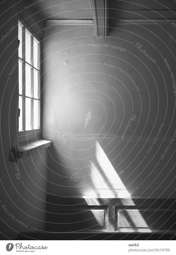 Late Advent Corner Interior shot Sanctuary Church window Village church Deserted Shaft of light Sunlight daylight Detail Light (Natural Phenomenon) Calm