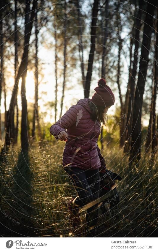 Woman playing with her dog while they walk through the forest. together outdoors Sunlight Sunrise peaceful enjoying nature enjoying the moment Colour photo