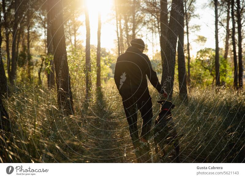 Man enjoying a walk in the woods with his dog as the sun rises. Dog forest friend Sunlight Sunrise outdoors nature together environment woodland tree