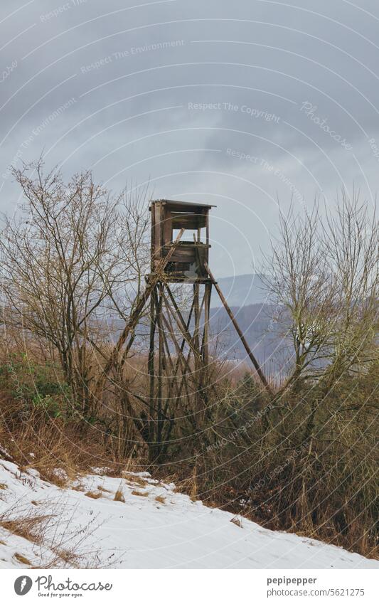 Hunter's hide in a wintry landscape roost hunter's seat Hunting Blind hunting Nature Landscape Forest Tree Wood Observe Field Exterior shot Deserted